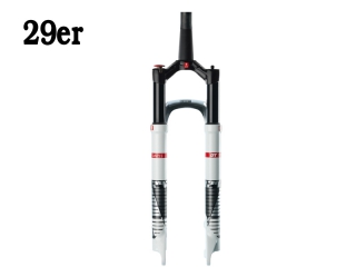  WIDELEC DT XMM 100 29er SS
