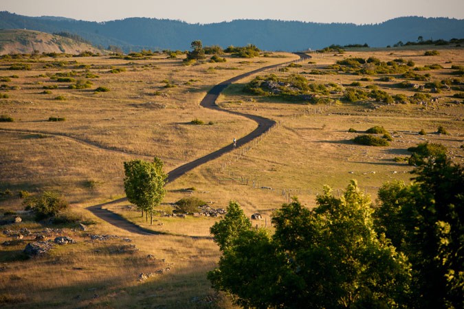 ROAD RIDE - ROAD