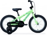 DAKAR 616-coaster rower merida