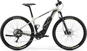 eBIG.NINE – szybki nie tylko w terenie eBIG.NINE – szybki nie tylko w terenie