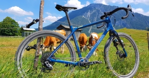 Silex vs Silex+: bikeWorld.pl ocenia modele na 2020 Silex vs Silex+: bikeWorld.pl ocenia modele na 2020